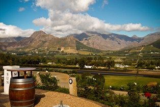 Cape Winelands
